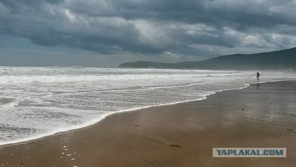 Владивосток в глазах французских журналистов