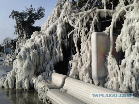 Черное море... замерзло!