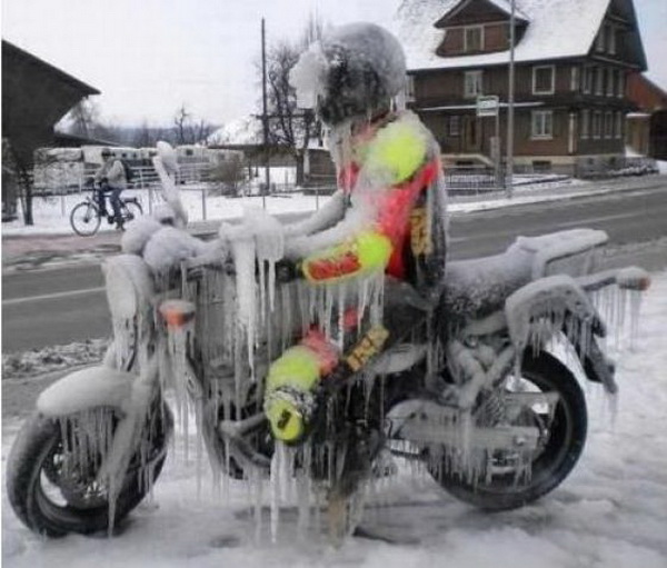 Сегодня, у нас в Териберке...