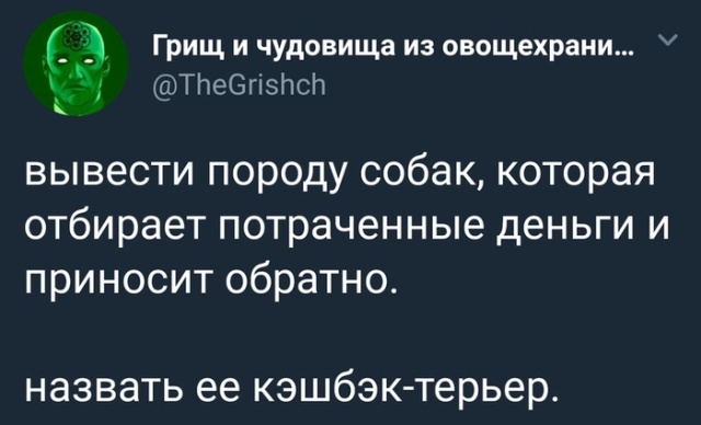 Дурацкие картинки