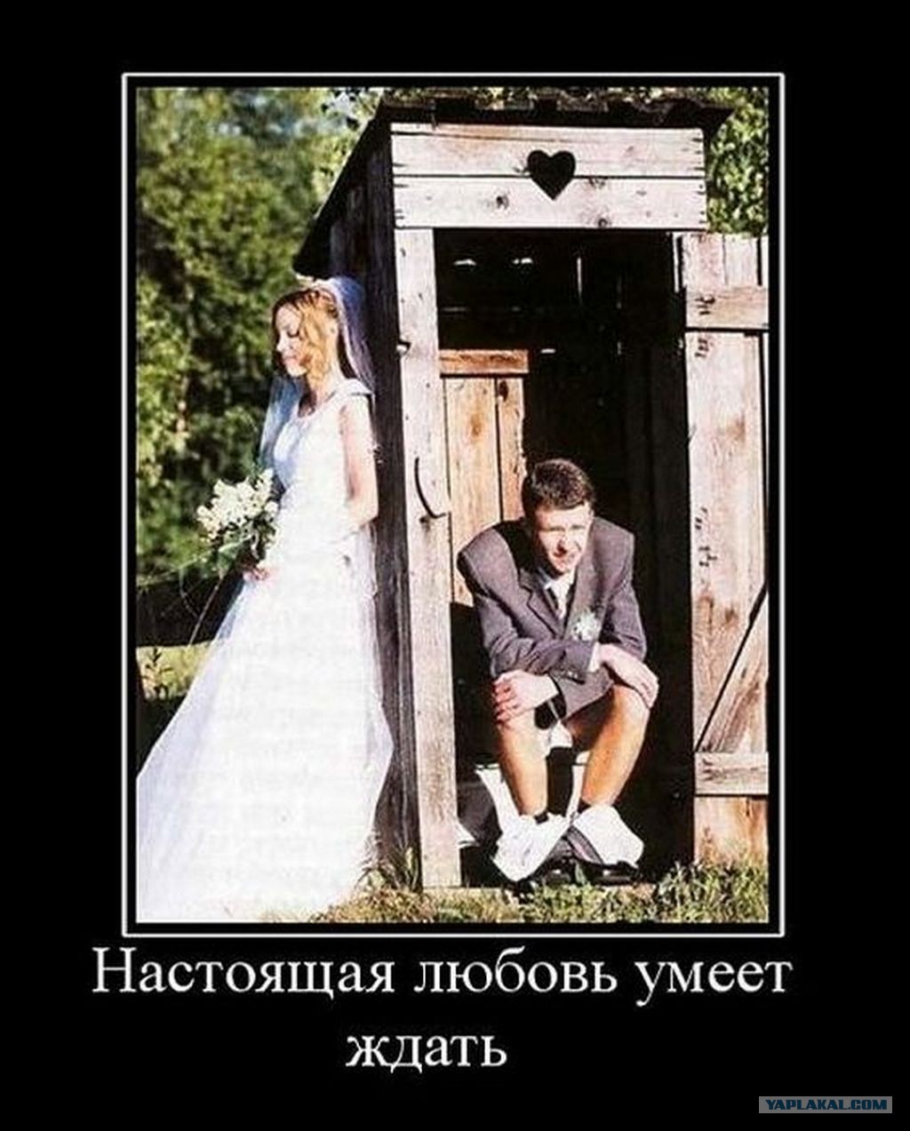 Муж до свадьбы фото кота Муж до свадьбы фото кота