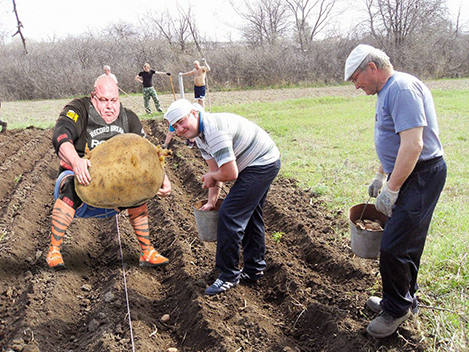 Болгарский силач поднимает «огромную картошку» (на самом деле камень)
