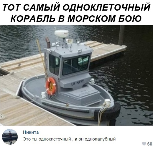 13606857.jpg