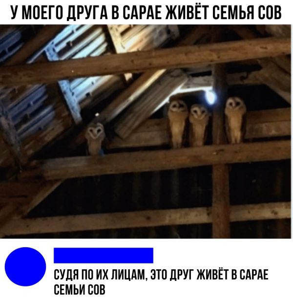 Немного юмора из этих ваших соцсетей