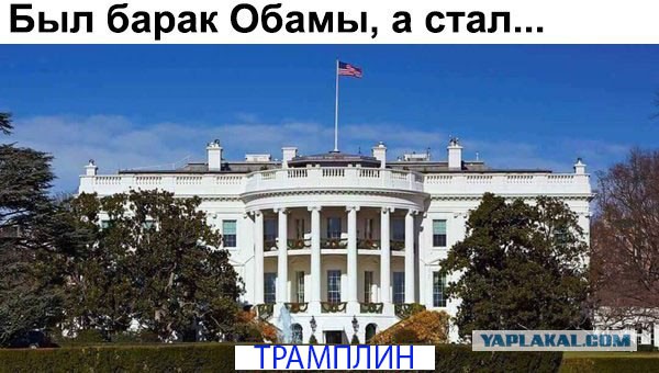 Трампункт