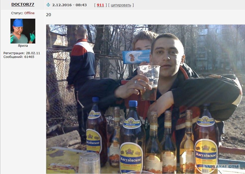 Стих я паук и что же Стих я паук и что же