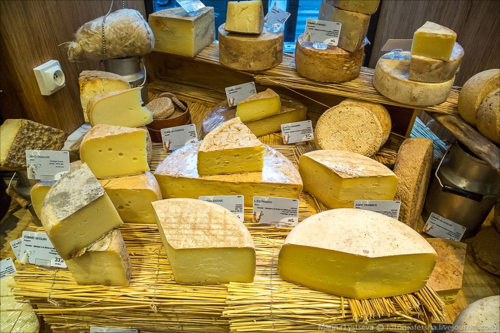 Виды Сыров Названия С Фото – Telegraph