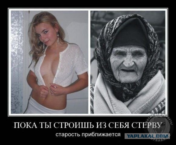 Фото старые суки