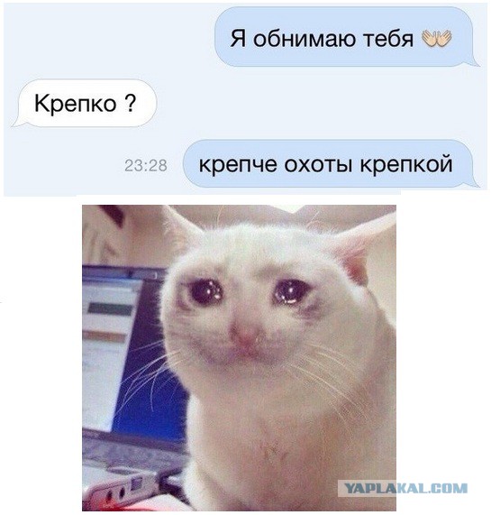 4966667.jpg