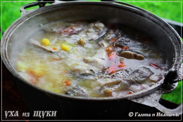 Щука на костре рецепт фото