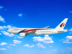 СМИ Нидерландов назвали фамилии "причастных" к крушению MH17 россиян