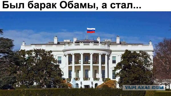 Трампункт