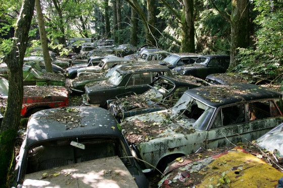 Автомобильное кладбище в лесах Швецарии