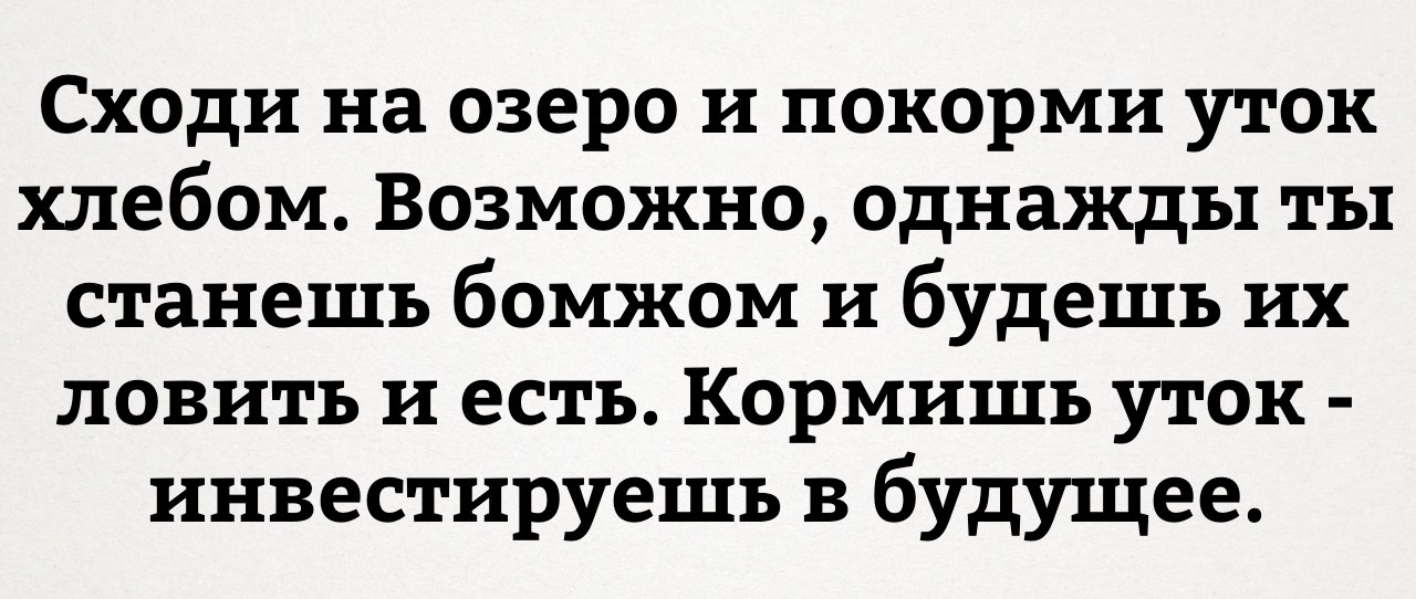 9568277.jpg