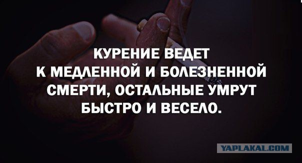 Картинки из ваших этих интернетов