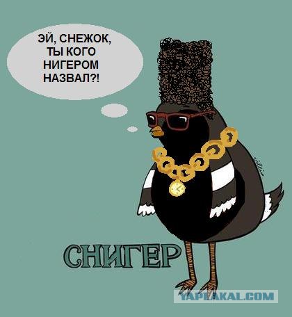 Снегр