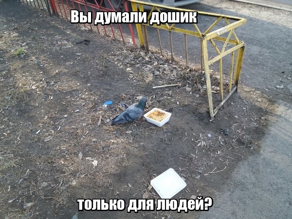 Немного о пище богов