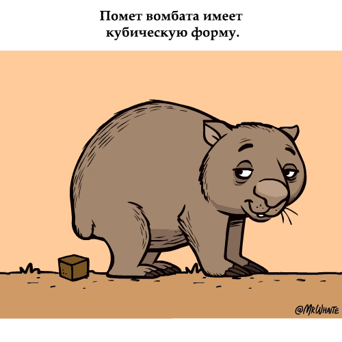 http://s00.yaplakal.com/pics/pics_original/7/8/0/3837087.gif