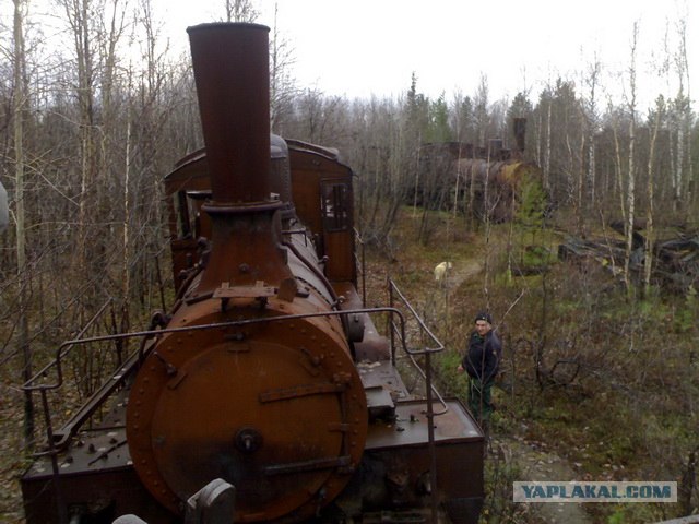 Крайний Север заростает мусором