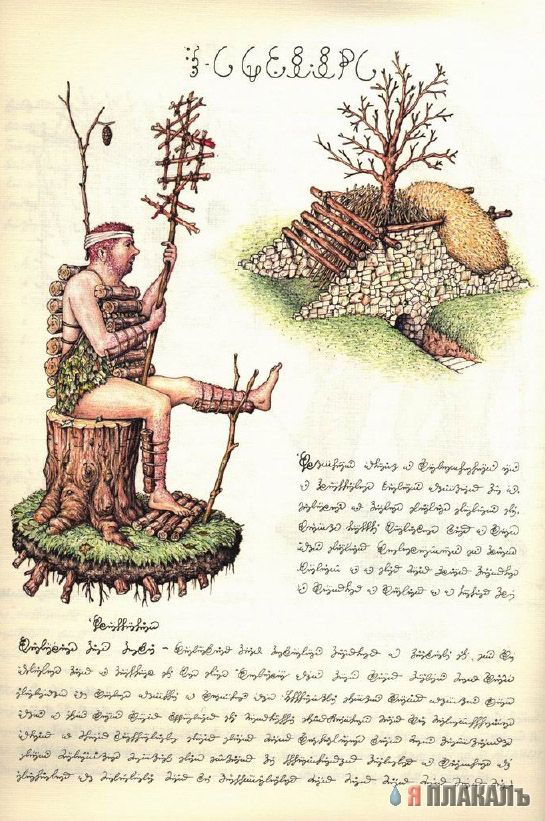 Codex Seraphinianus - что курил автор?