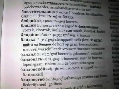 Русско-Нидерландский словарь