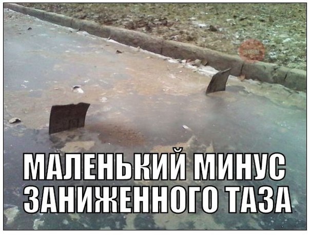 4346587.jpg