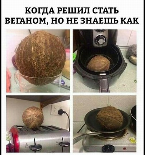 Всё это ХОЖ