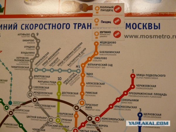 Станция метро Путино