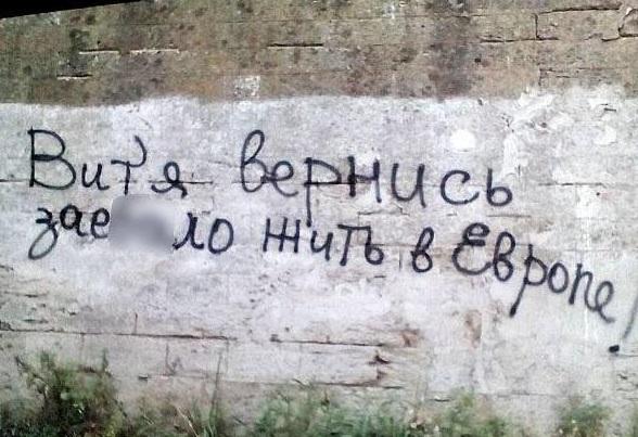 7934987.jpg