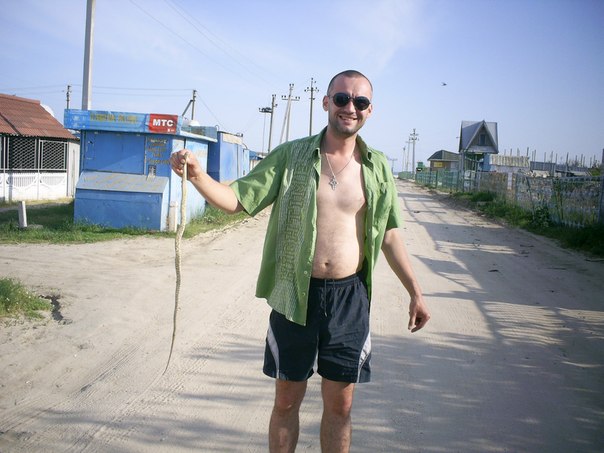Змеи в Азовском море