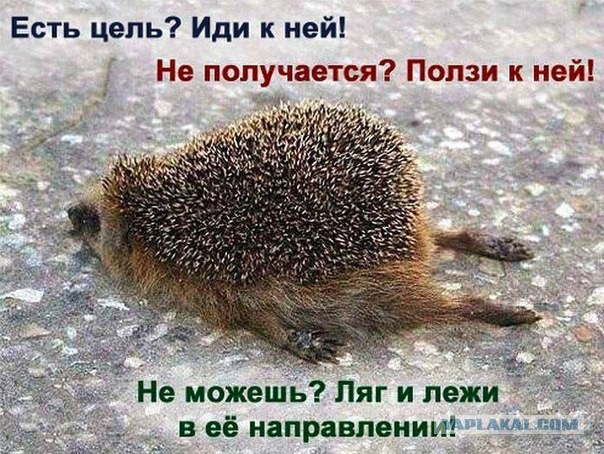 Новые Законы