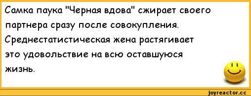 Маленькая лента анекдотов