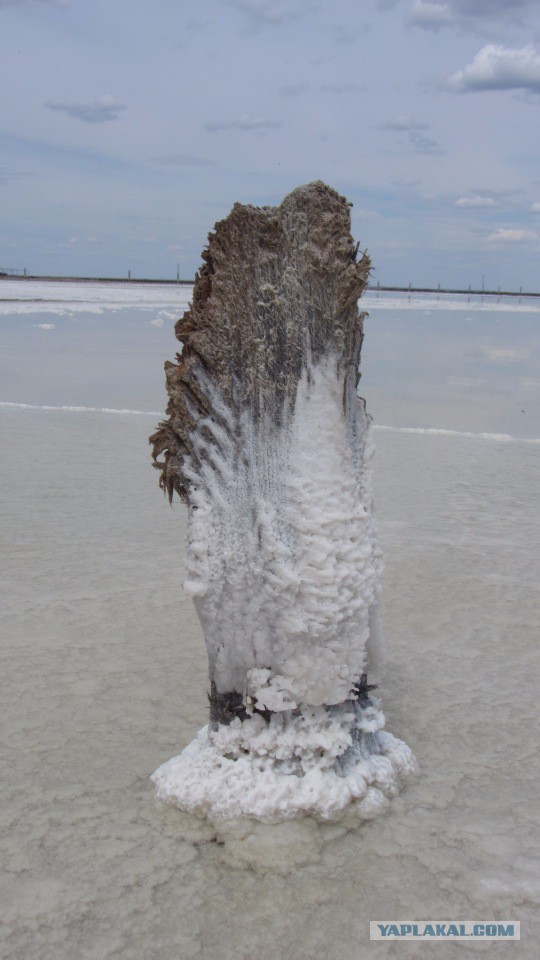 Поездка к морю