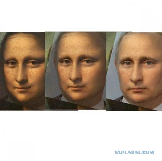 7147697.jpg