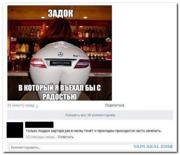 4831797.jpg