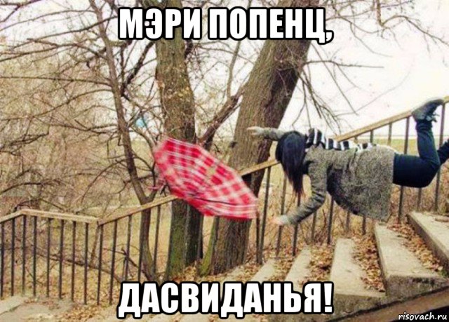 10245897.jpg