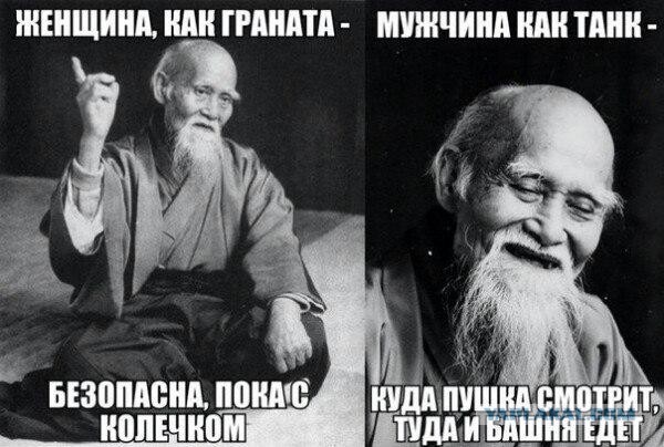 7499208.jpg