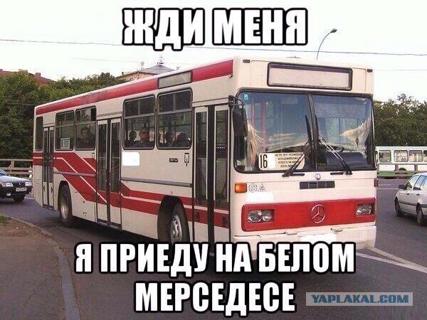 8876808.jpg