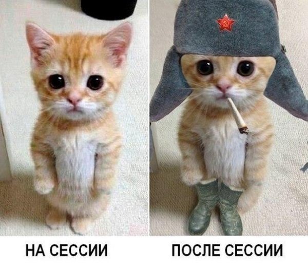 Нестандартный юмор