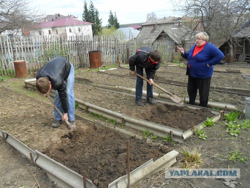 Уход за приусадебным хозяйством Уход за приусадебным хозяйством