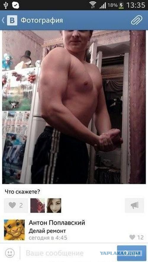 [Зображення: 2677218.jpg]