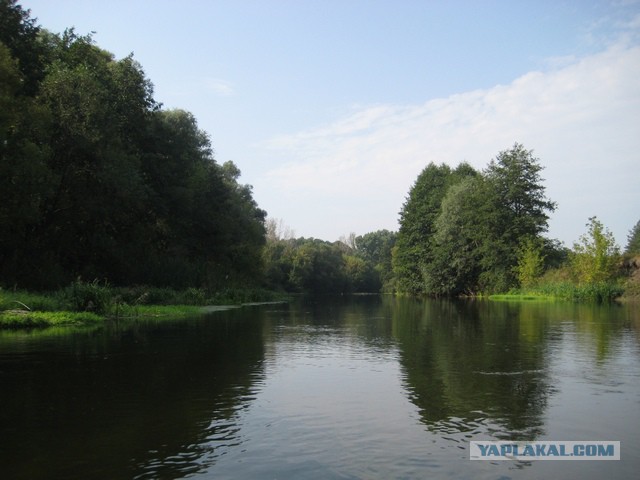 Сплав по реке Оскол