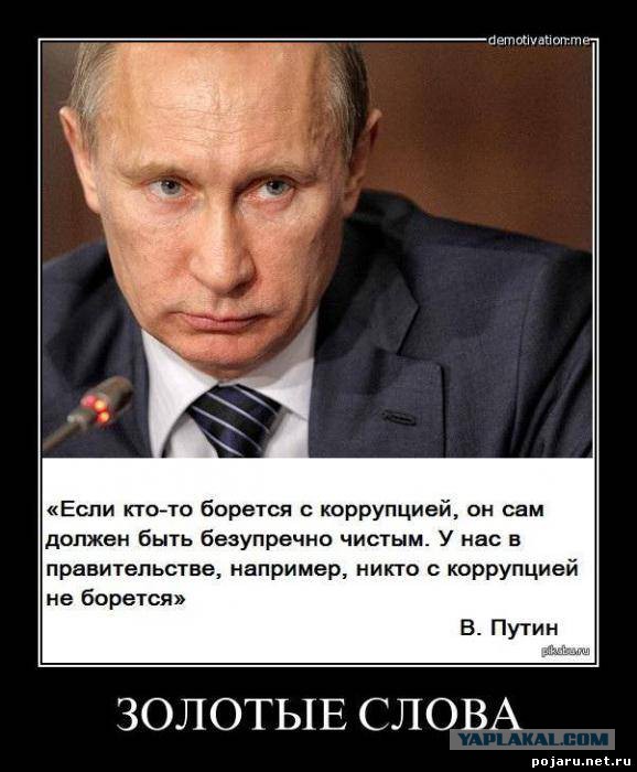 Сын Грефа получил госконтрактов на 40 млрд