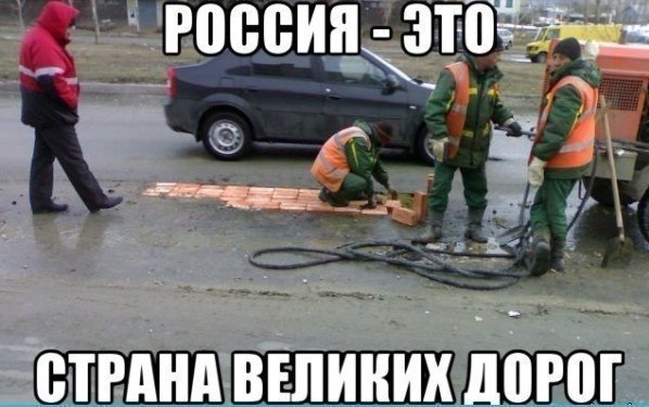 7679418.jpg