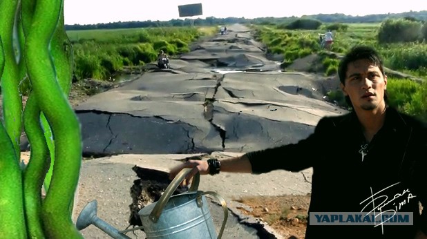 Фотожаба: Поможем Билану доехать