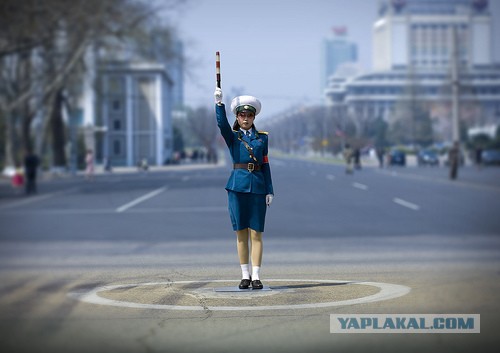Туркменские власти запретили женщинам водить автомобили