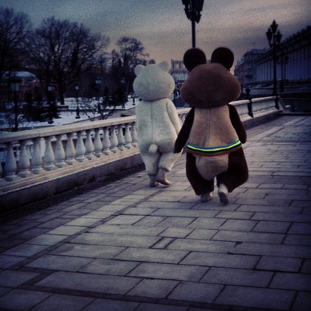 Картинка дня
