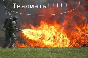 Да ну ее к черту, вашу Австралию! Там пауки... мышей едят