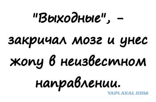 Праздник день цветов 21 марта
