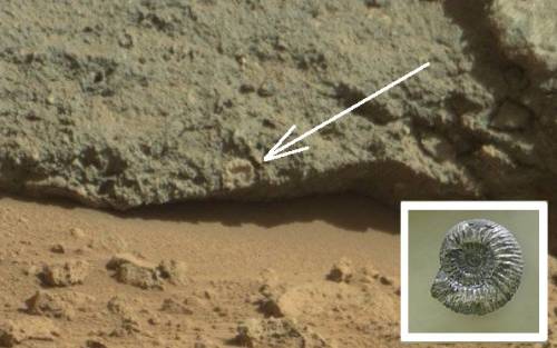 Марс снимают на острове Девон?